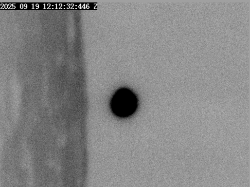 Zakrycie Wenus przez Księżyc